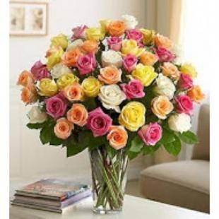 Long Stem Assorted Roses